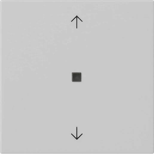 Gira System 55 s3000 bedieningselement bluetooth pijlen enkelvoudig Mat grijs 5382015