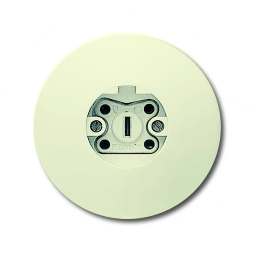 ABB Busch-Jaeger wcd vpl rond inb Perilex 25A