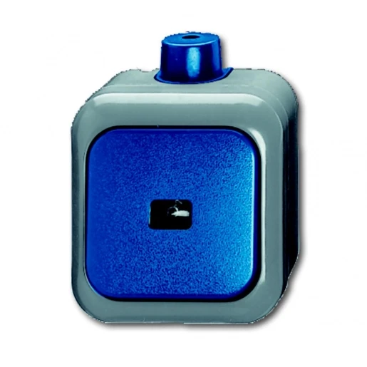 ABB Busch-Jaeger WDI Pulsdrukker Wip Mat blauw RAL 5010 2CKA001483A0171