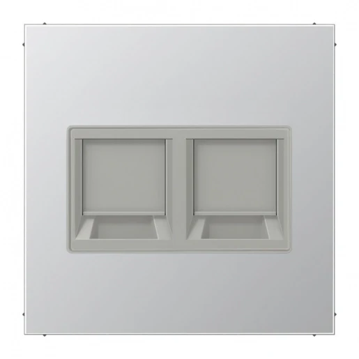 Jung LS range Centraalplaat- (onderdeel) afdekking Modular-Jack 2 connectoren MetaalZonder label aluminium AL1969-2AT