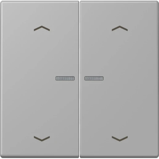 Jung LS range Home stuurafdekking pijl LC32012 2-voudig Mat BTLC17102P204