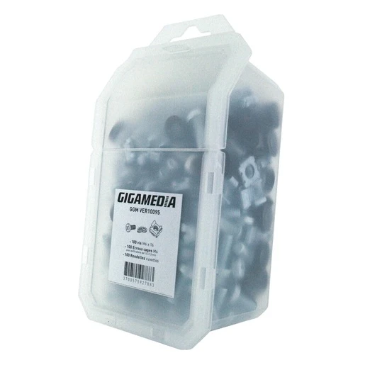 Gigamedia Kooimoer M6 bout M6x16 en sierring blister 100 st