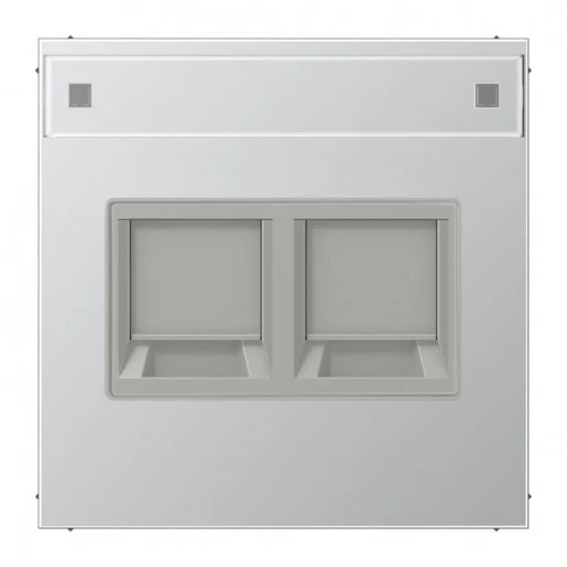 Jung LS range afdekking Modular-Jack 2 connectoren MetaalMet label aluminium AL1969-2NAAT