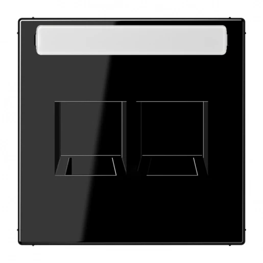 Jung LS range afdekking ls990 Modular-Jack 2 connectoren Met label zwart LS1969-25NAWESW