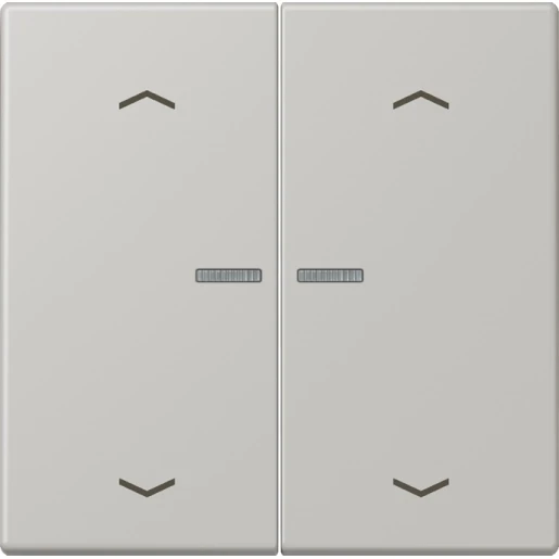 Jung LS range Home stuurafdekking pijl LC32013 2-voudig Mat BTLC17102P205