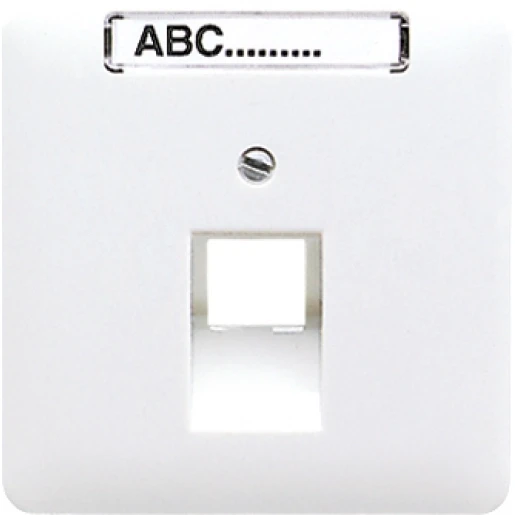 Jung CD range centraalplaat uae8upo cd500 UAE/IAE 1 connector MetaalMet label platina CD569-1NAUAPT