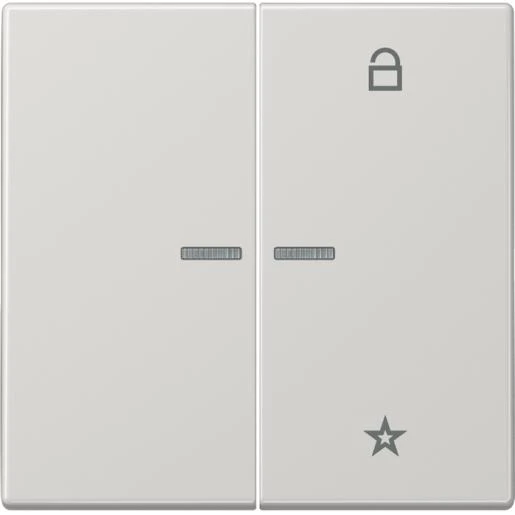 Jung LS range tastafdekking ls990 licht grijs 2-voudig Glanzend grijs RAL 7035 FMLS1701LG