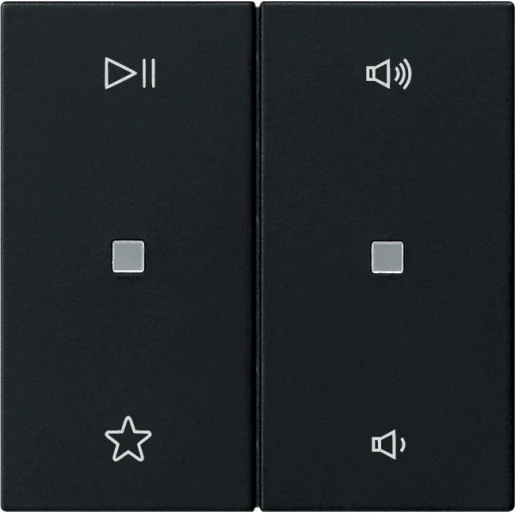 Gira System 55 Wip audiobesturing enkelvoudig Mat zwart 5384005