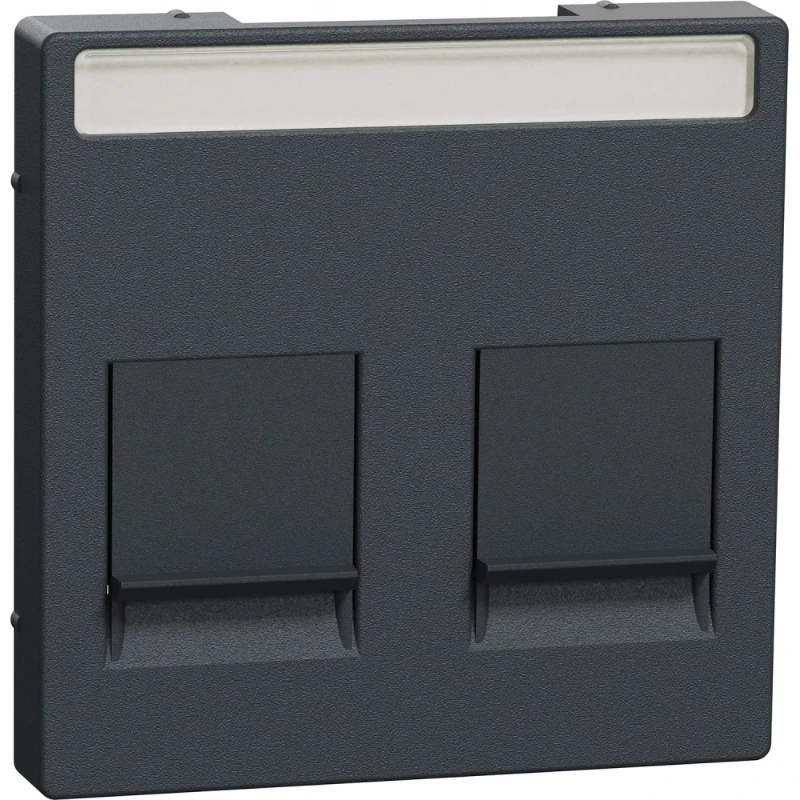 Merten Schuif Modular-Jack Centraalplaat 2 connectoren Met label antraciet MEG4564-0414