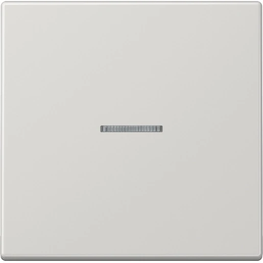 Jung LS range Knx RF-tastafdekking KNX enkelvoudig grijs inbouw IP2X RAL 7035 LS10911STRFLG