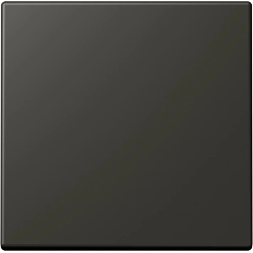 Jung LS range Bluetooth wandzender 2-kanalen BLELC990259