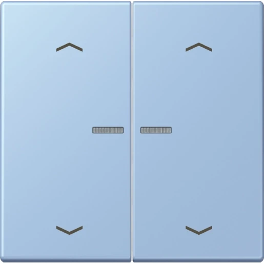 Jung LS range Home stuurafdekking pijl LC32021 2-voudig Mat BTLC17102P207