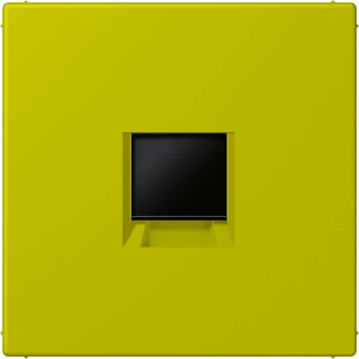 Jung LS range Afdekking centraalplaat AMP Radiall LC4320F Modular-Jack 1 connector Zonder label groen LC1969-1WE249