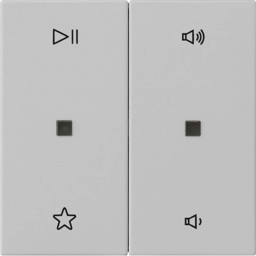 Gira System 55 Wip audiobesturing enkelvoudig Mat grijs 5384015