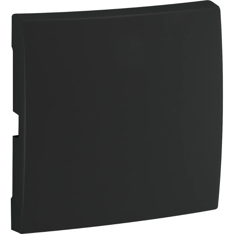 Peha Easyclick Badora pro-wandzender neutraal 2-kanalen zwart RAL 9005 00323476
