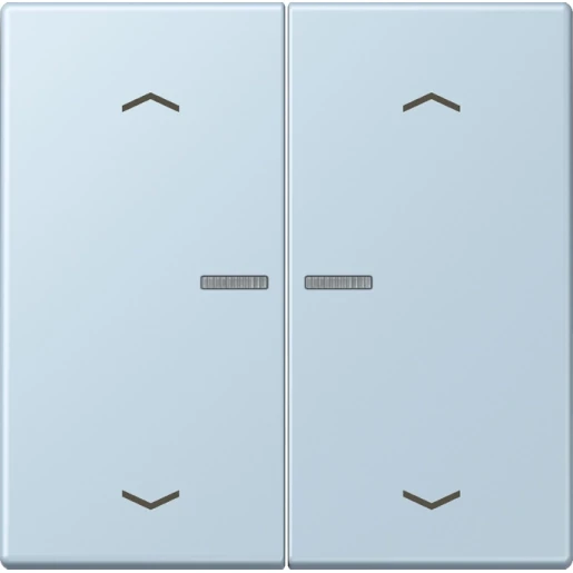 Jung LS range Home stuurafdekking pijl LC32022 2-voudig Mat BTLC17102P208
