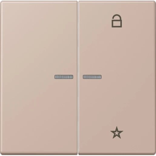 Jung LS range stuurafdekking universeel lc32131 2-voudig Mat FMLC1701240