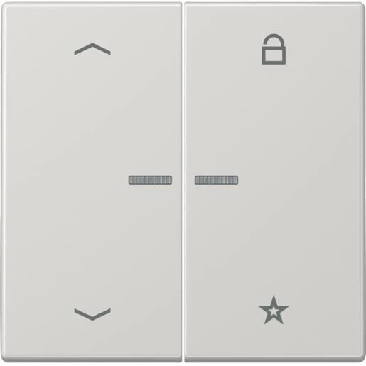 Jung LS range tastafdekking pijlen licht grijs 2-voudig Glanzend grijs RAL 7035 FMLS1701PLG