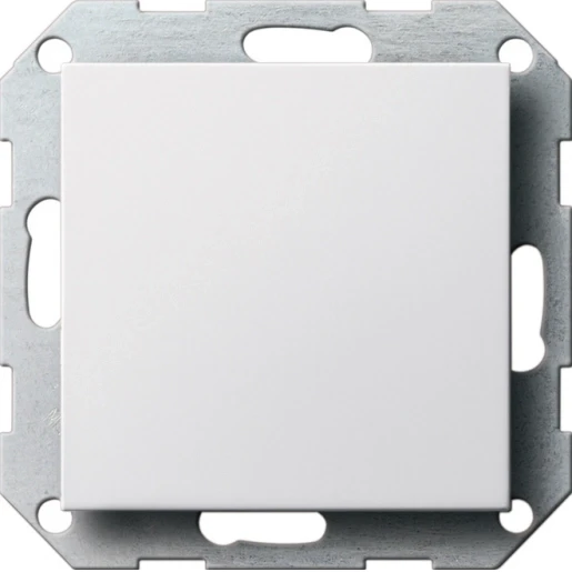 Gira System 55 blinde afdekking draagring mat Blindkap Centraalplaat Zonder label wit 026827