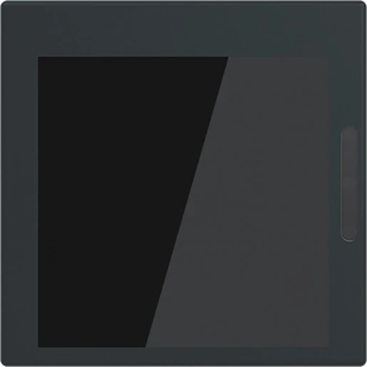 ABB Busch-Jaeger 2.4' Display 55'
