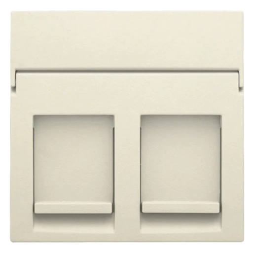 Niko Centraalplaat data RJ Modular-Jack Centraalplaat 2 connectoren Zonder label beige 100-65200