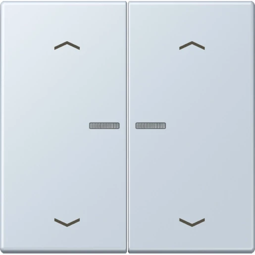 Jung LS range Home stuurafdekking pijl LC32023 2-voudig Mat BTLC17102P209