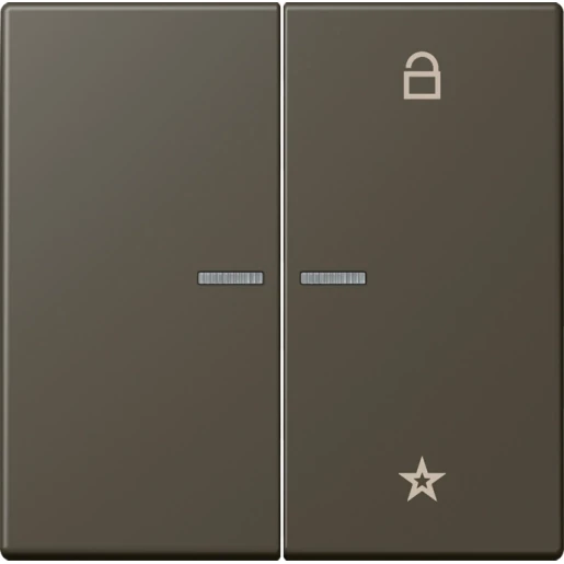 Jung LS range stuurafdekking universeel lc32140 2-voudig Mat FMLC1701241