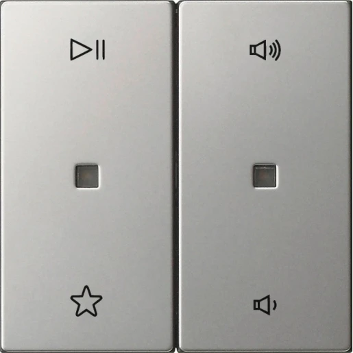 Gira System 55 Wip audiobesturing edelstaal enkelvoudig RVS 5384600