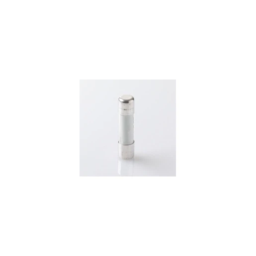 ABB CYLINDRISCHE ZEKERING GG 32A 10,3X38MM VOOR E9X