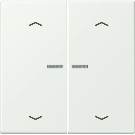 Jung LS range Home stuurafdekking pijl LC32024 2-voudig Mat BTLC17102P210