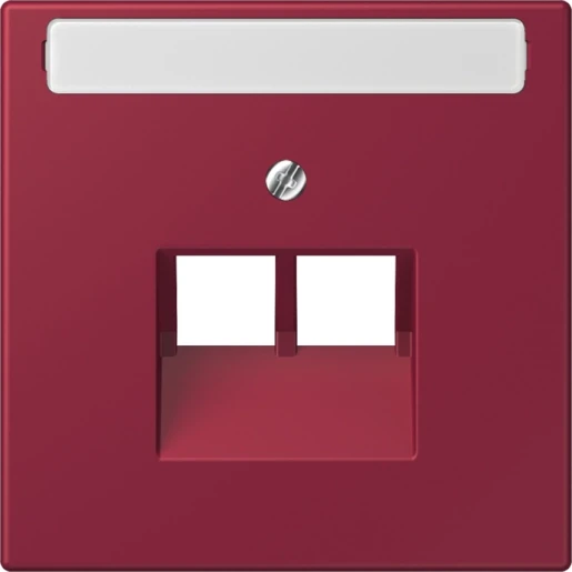 Jung LS range Afdekking centraalplaat 4320M UAE/IAE 2 connectoren Met label LC969-2NAUA255