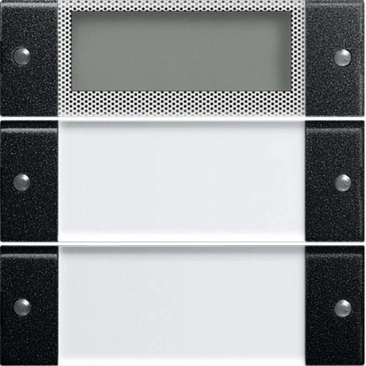 Gira Wippenset 2-v Plus TK System 55 clear/zwart m