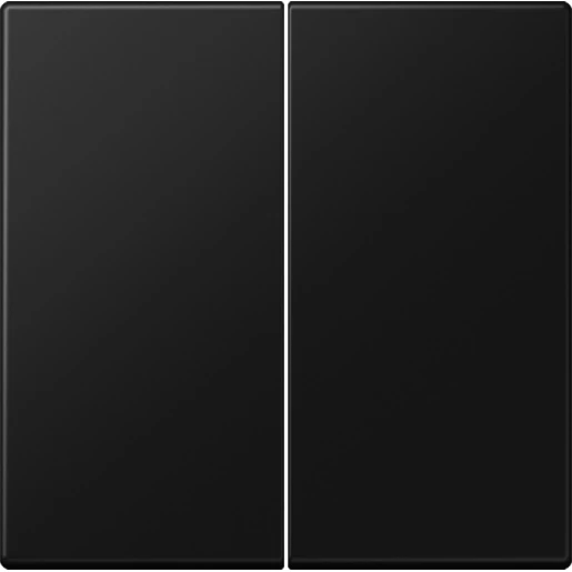 Jung LS range stuurafdekking standaard ls990 2-voudig Mat zwart RAL 9005 LS1702SWM