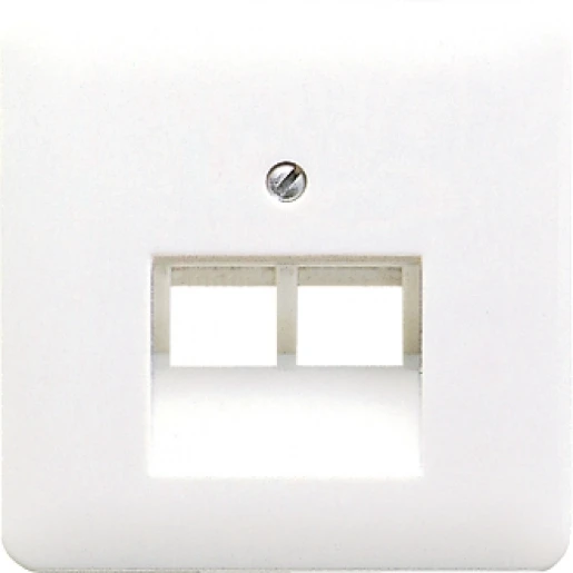 Jung CD range centraalplaat uae2x8upo cd500 UAE/IAE 2 connectoren MetaalZonder label platina CD569-2UAPT