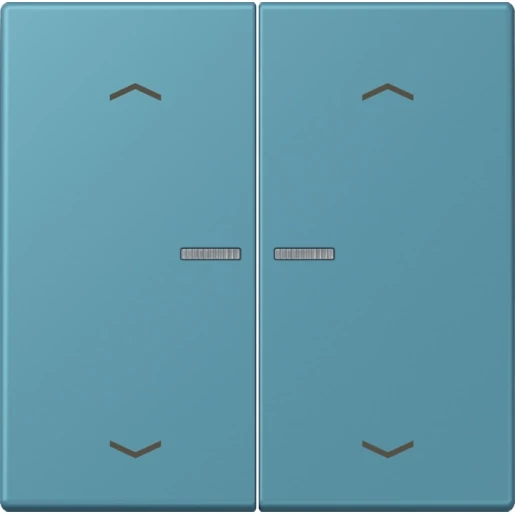 Jung LS range Home stuurafdekking pijl LC32031 2-voudig Mat BTLC17102P212