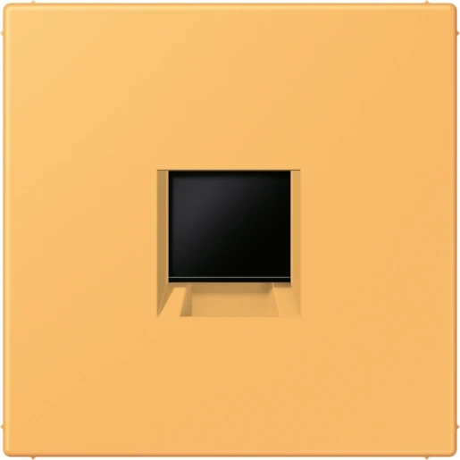Jung LS range Afdekking centraalplaat AMP Radiall LC4320L Modular-Jack 1 connector Zonder label LC1969-1WE254