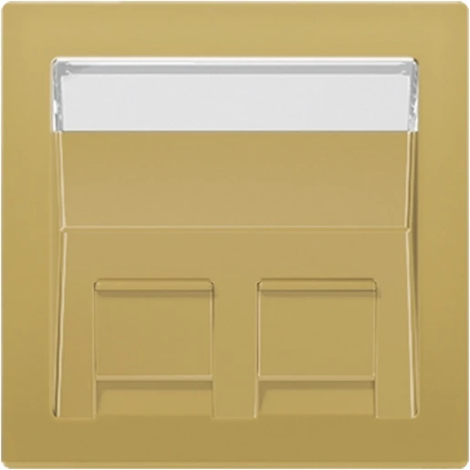 Jung LS range afdekking Centraalplaat 2 connectoren Met label messing ME569-30BFPLC-L