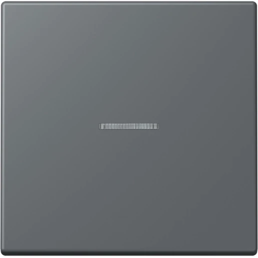 Jung LS range Home stuurafdekking LC32010 enkelvoudig Mat BTLC17101202