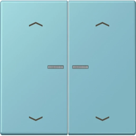 Jung LS range Home stuurafdekking pijl LC32032 2-voudig Mat BTLC17102P213