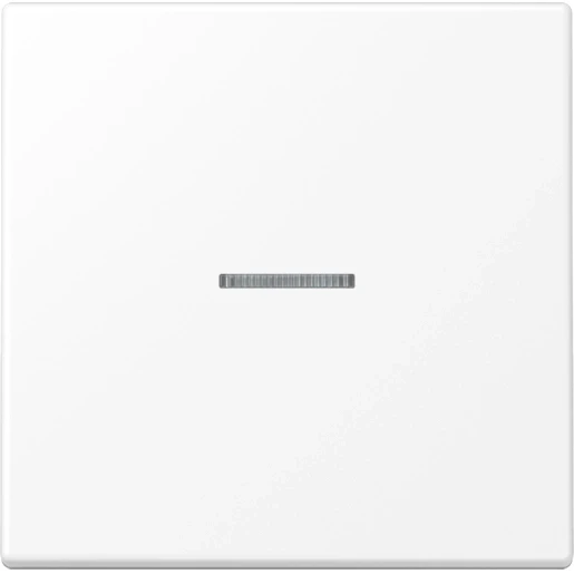 Jung LS range home stuurafdekking sneeuwwit enkelvoudig Mat wit RAL 9016 BTLS17101WWM
