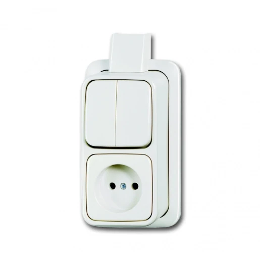 ABB Busch-Jaeger AP combinatie wandcontactdoos serie + plaat ap opbouw wit IP20 2CKA001642A0161