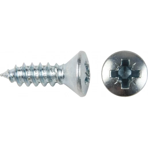 Bizline PLAATSCHROEF OVALE KOP POZIDRIV Ø 4.2x19 MM (X 200)