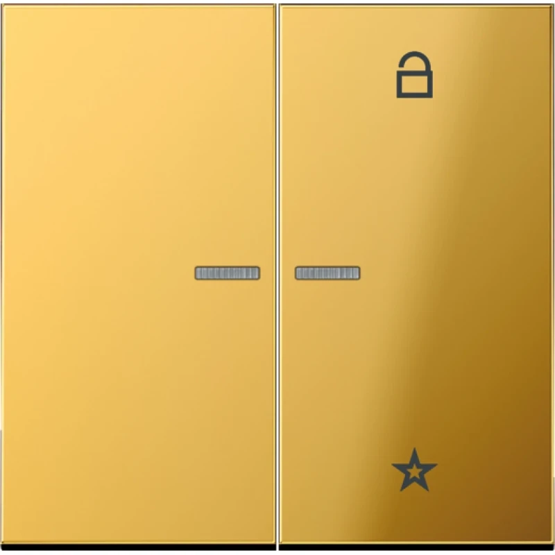Jung LS range stuurafdekking universeel goud brons 2-voudig Glanzend goud GO1701