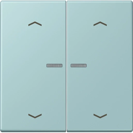 Jung LS range Home stuurafdekking pijl LC32033 2-voudig Mat BTLC17102P214