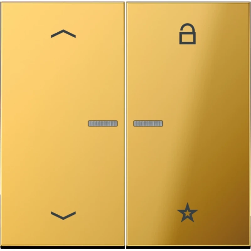 Jung LS range afdekking universeel voor 1730je goud brons 2-voudig Glanzend goud GO1701P