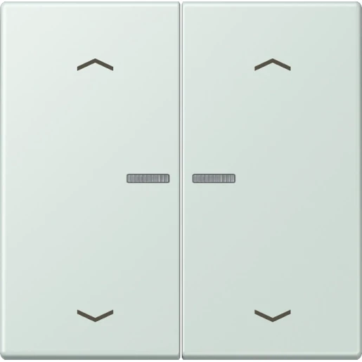 Jung LS range Home stuurafdekking pijl LC32034 2-voudig Mat BTLC17102P215