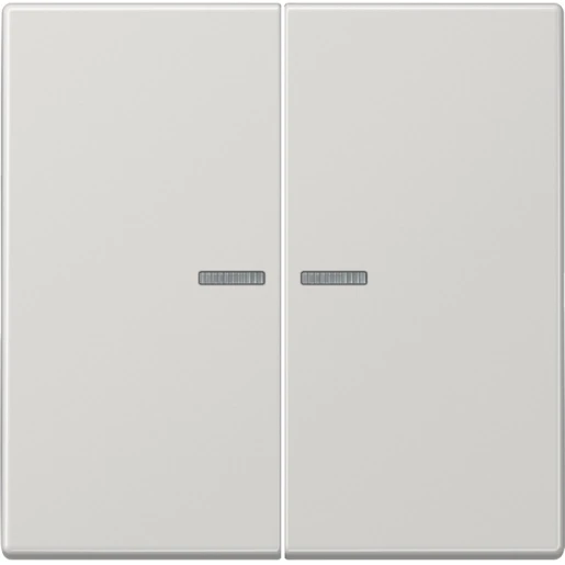 Jung LS range home stuurafdekking licht grijs 2-voudig Glanzend grijs RAL 7035 BTLS17102LG