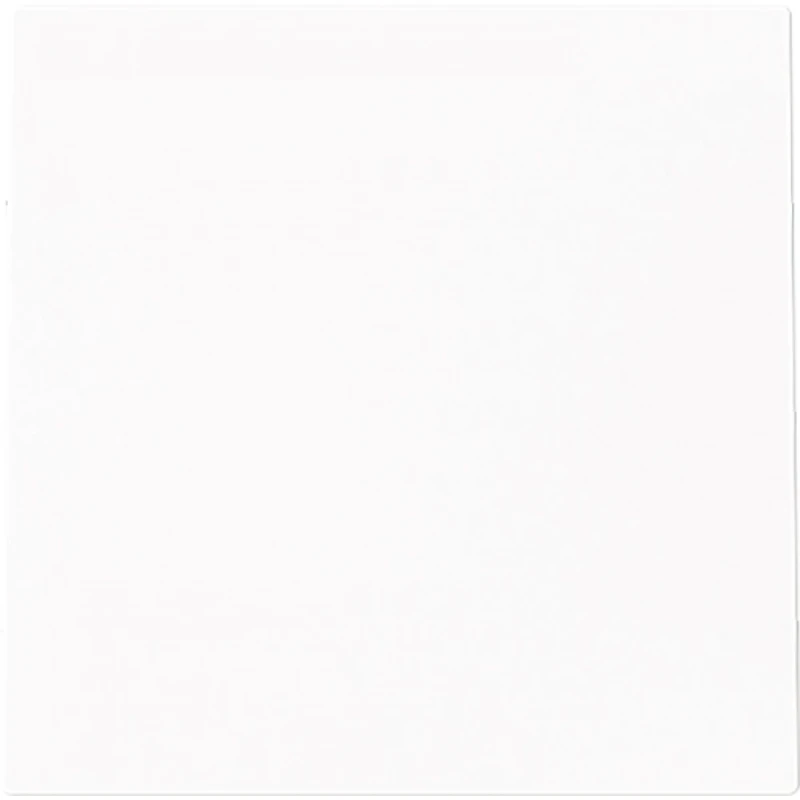 ABB Busch-Jaeger Art linear Centraalplaat voor flexibelekabel Leidinguitvoer Bedieningselement Zonder label wit 2CKA001710A4249