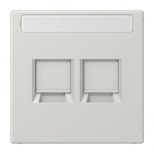 Jung LS range afdekking ls900 Modular-Jack 2 connectoren Met label grijs LS1969-2NAWELG