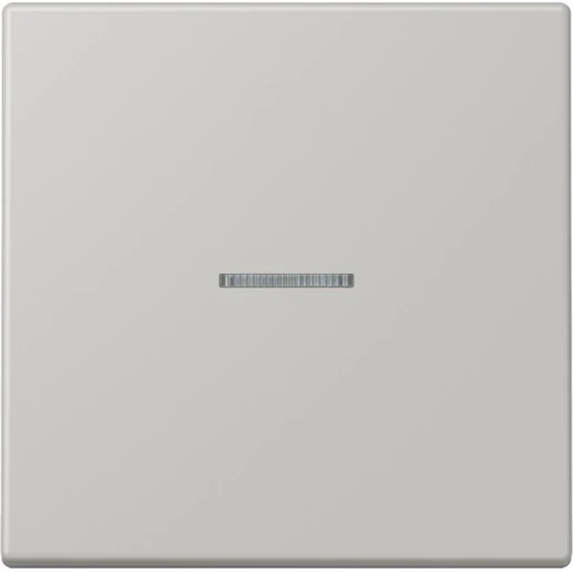 Jung LS range Home stuurafdekking LC32013 enkelvoudig Mat BTLC17101205